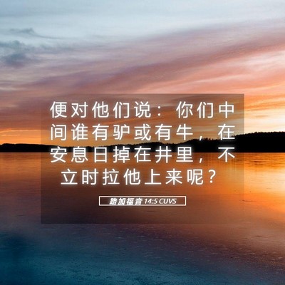 Picture 05 - 路 加 福 音 14:5 CUVS - 便 对 他 们 说 ： 你 们 中 间 谁 有 - Bible Verse Picture