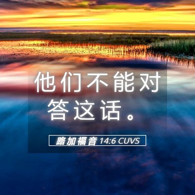 Picture 05 - 路 加 福 音 14:6 CUVS - 他 们 不 能 对 答 这 话 - Bible Verse Picture