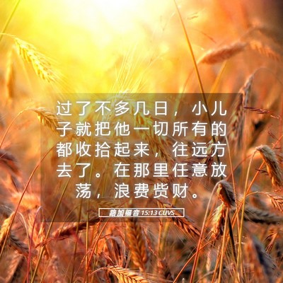 Picture 05 - 路 加 福 音 15:13 CUVS - 过 了 不 多 几 日 ， 小 儿 子 就 把 - Bible Verse Picture