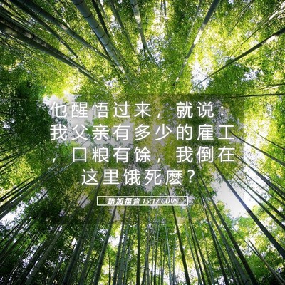Picture 05 - 路 加 福 音 15:17 CUVS - 他 醒 悟 过 来 ， 就 说 ： 我 父 亲 - Bible Verse Picture
