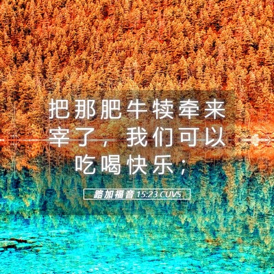 Picture 05 - 路 加 福 音 15:23 CUVS - 把 那 肥 牛 犊 牵 来 宰 了 ， 我 们 - Bible Verse Picture