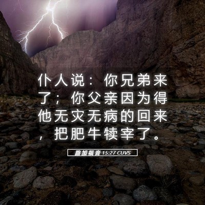 Picture 05 - 路 加 福 音 15:27 CUVS - 仆 人 说 ： 你 兄 弟 来 了 ； 你 父 - Bible Verse Picture
