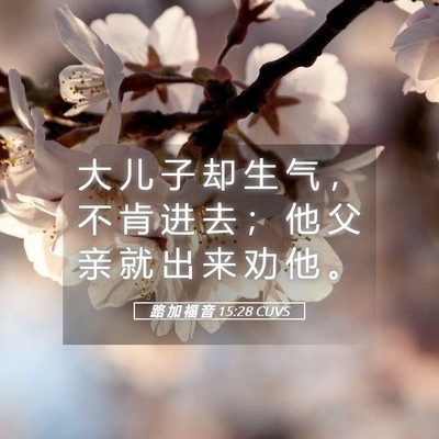 Picture 05 - 路 加 福 音 15:28 CUVS - 大 儿 子 却 生 气 ， 不 肯 进 去 ； - Bible Verse Picture