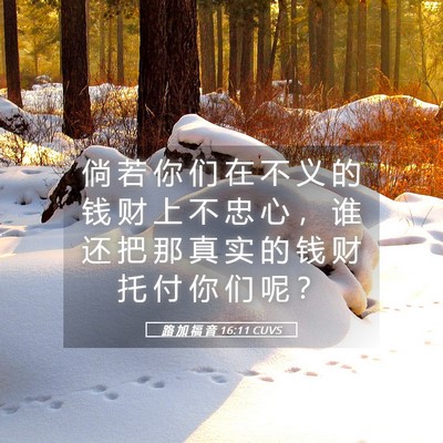 Picture 05 - 路 加 福 音 16:11 CUVS - 倘 若 你 们 在 不 义 的 钱 财 上 不 - Bible Verse Picture