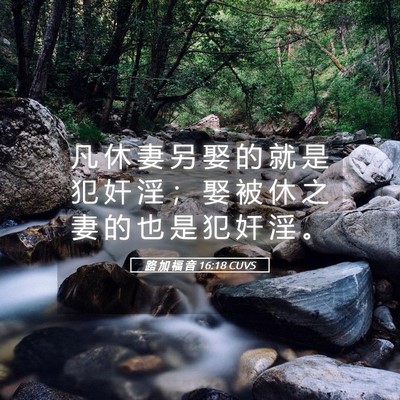Picture 05 - 路 加 福 音 16:18 CUVS - 凡 休 妻 另 娶 的 就 是 犯 奸 淫 ； - Bible Verse Picture