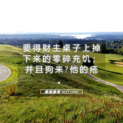 Picture 05 - 路 加 福 音 16:21 CUVS - 要 得 财 主 桌 子 上 掉 下 来 的 零 - Bible Verse Picture