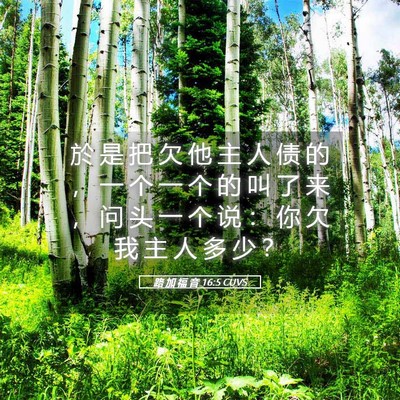 Picture 05 - 路 加 福 音 16:5 CUVS - 於 是 把 欠 他 主 人 债 的 ， 一 个 - Bible Verse Picture