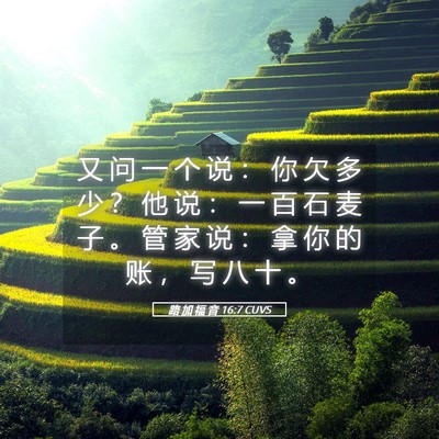 Picture 05 - 路 加 福 音 16:7 CUVS - 又 问 一 个 说 ： 你 欠 多 少 ？ 他 - Bible Verse Picture
