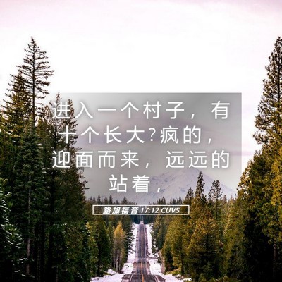 Picture 05 - 路 加 福 音 17:12 CUVS - 进 入 一 个 村 子 ， 有 十 个 长 大 ? - Bible Verse Picture