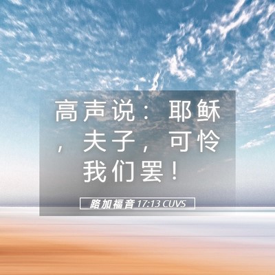 Picture 05 - 路 加 福 音 17:13 CUVS - 高 声 说 ： 耶 稣 ， 夫 子 ， 可 怜 - Bible Verse Picture