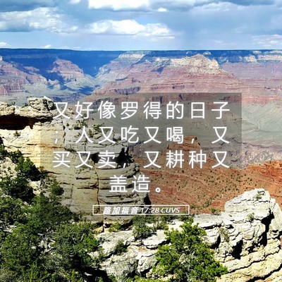 Picture 05 - 路 加 福 音 17:28 CUVS - 又 好 像 罗 得 的 日 子 ； 人 又 吃 - Bible Verse Picture