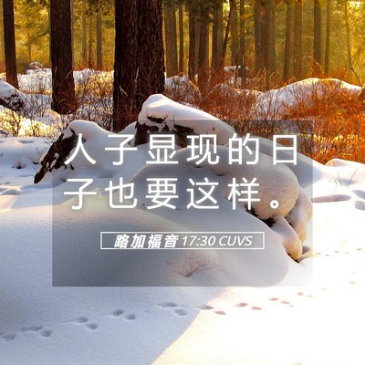 Picture 05 - 路 加 福 音 17:30 CUVS - 人 子 显 现 的 日 子 也 要 这 样 - Bible Verse Picture