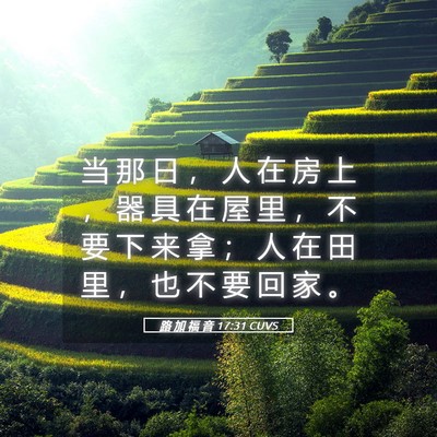 Picture 05 - 路 加 福 音 17:31 CUVS - 当 那 日 ， 人 在 房 上 ， 器 具 在 - Bible Verse Picture