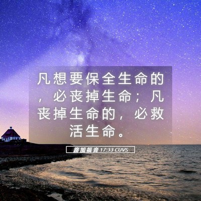 Picture 05 - 路 加 福 音 17:33 CUVS - 凡 想 要 保 全 生 命 的 ， 必 丧 掉 - Bible Verse Picture