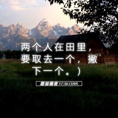 Picture 05 - 路 加 福 音 17:36 CUVS - 两 个 人 在 田 里 ， 要 取 去 一 个 - Bible Verse Picture