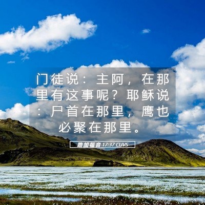 Picture 05 - 路 加 福 音 17:37 CUVS - 门 徒 说 ： 主 阿 ， 在 那 里 有 这 - Bible Verse Picture