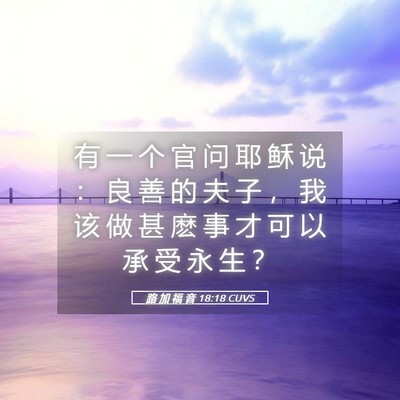 Picture 05 - 路 加 福 音 18:18 CUVS - 有 一 个 官 问 耶 稣 说 ： 良 善 的 - Bible Verse Picture