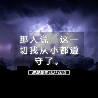 Picture 05 - 路 加 福 音 18:21 CUVS - 那 人 说 ： 这 一 切 我 从 小 都 遵 - Bible Verse Picture