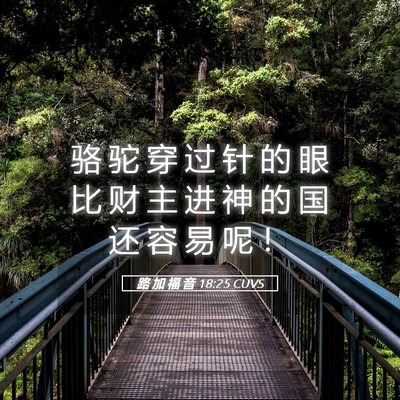 Picture 05 - 路 加 福 音 18:25 CUVS - 骆 驼 穿 过 针 的 眼 比 财 主 进 神 - Bible Verse Picture