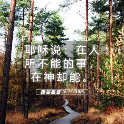 Picture 05 - 路 加 福 音 18:27 CUVS - 耶 稣 说 ： 在 人 所 不 能 的 事 ， - Bible Verse Picture