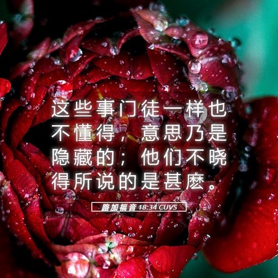 Picture 05 - 路 加 福 音 18:34 CUVS - 这 些 事 门 徒 一 样 也 不 懂 得 ， - Bible Verse Picture