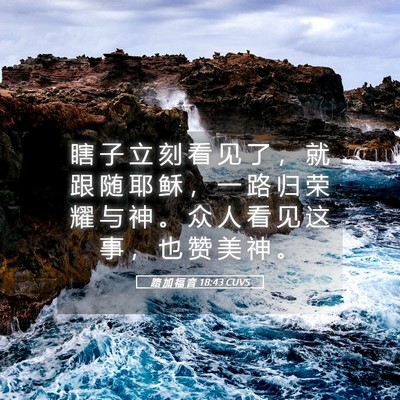 Picture 05 - 路 加 福 音 18:43 CUVS - 瞎 子 立 刻 看 见 了 ， 就 跟 随 耶 - Bible Verse Picture