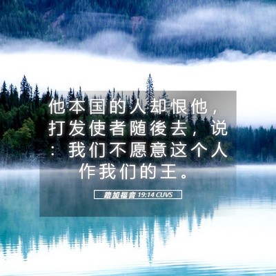 Picture 05 - 路 加 福 音 19:14 CUVS - 他 本 国 的 人 却 恨 他 ， 打 发 使 - Bible Verse Picture