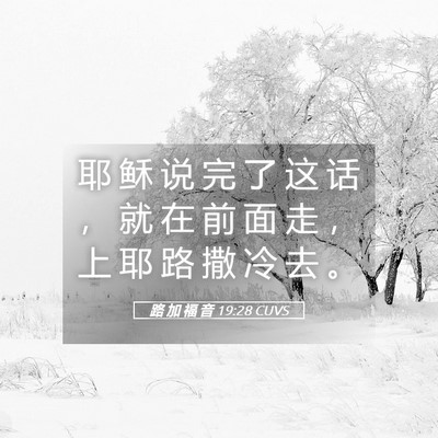 Picture 05 - 路 加 福 音 19:28 CUVS - 耶 稣 说 完 了 这 话 ， 就 在 前 面 - Bible Verse Picture