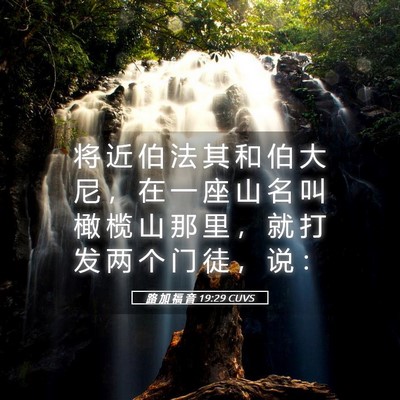 Picture 05 - 路 加 福 音 19:29 CUVS - 将 近 伯 法 其 和 伯 大 尼 ， 在 一 - Bible Verse Picture