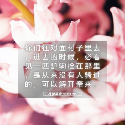 Picture 05 - 路 加 福 音 19:30 CUVS - 你 们 往 对 面 村 子 里 去 ， 进 去 - Bible Verse Picture