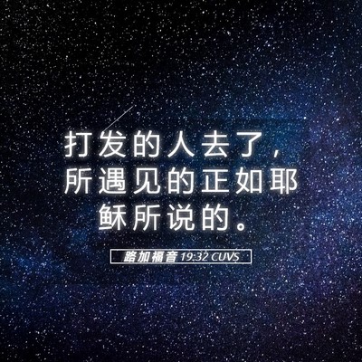Picture 05 - 路 加 福 音 19:32 CUVS - 打 发 的 人 去 了 ， 所 遇 见 的 正 - Bible Verse Picture