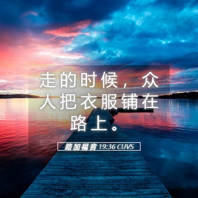 Picture 05 - 路 加 福 音 19:36 CUVS - 走 的 时 候 ， 众 人 把 衣 服 铺 在 - Bible Verse Picture
