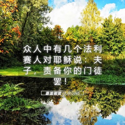Picture 05 - 路 加 福 音 19:39 CUVS - 众 人 中 有 几 个 法 利 赛 人 对 耶 - Bible Verse Picture