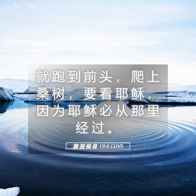 Picture 05 - 路 加 福 音 19:4 CUVS - 就 跑 到 前 头 ， 爬 上 桑 树 ， 要 - Bible Verse Picture