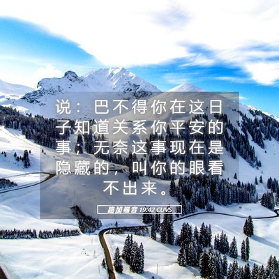 Picture 05 - 路 加 福 音 19:42 CUVS - 说 ： 巴 不 得 你 在 这 日 子 知 道 - Bible Verse Picture
