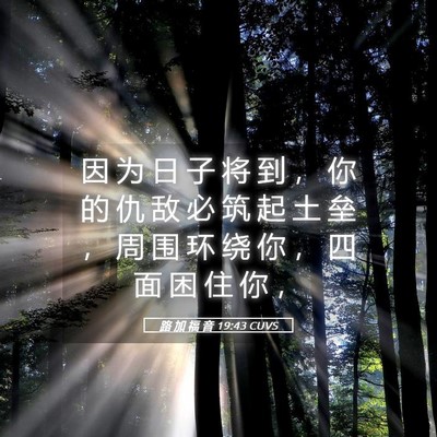 Picture 05 - 路 加 福 音 19:43 CUVS - 因 为 日 子 将 到 ， 你 的 仇 敌 必 - Bible Verse Picture