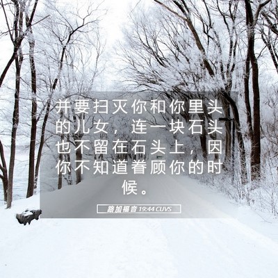 Picture 05 - 路 加 福 音 19:44 CUVS - 并 要 扫 灭 你 和 你 里 头 的 儿 女 - Bible Verse Picture