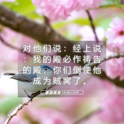 Picture 05 - 路 加 福 音 19:46 CUVS - 对 他 们 说 ： 经 上 说 ： 我 的 殿 - Bible Verse Picture