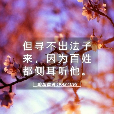 Picture 05 - 路 加 福 音 19:48 CUVS - 但 寻 不 出 法 子 来 ， 因 为 百 姓 - Bible Verse Picture