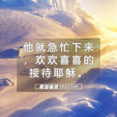 Picture 05 - 路 加 福 音 19:6 CUVS - 他 就 急 忙 下 来 ， 欢 欢 喜 喜 的 - Bible Verse Picture