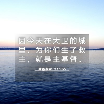 Picture 05 - 路 加 福 音 2:11 CUVS - 因 今 天 在 大 卫 的 城 里 ， 为 你 - Bible Verse Picture