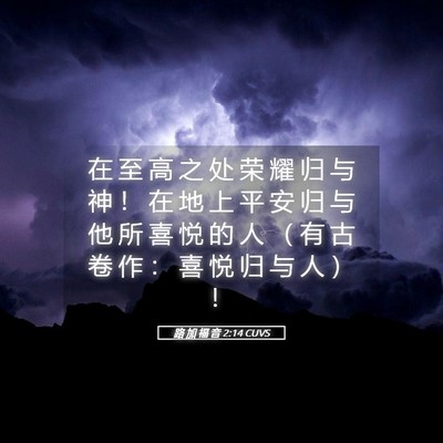 Picture 05 - 路 加 福 音 2:14 CUVS - 在 至 高 之 处 荣 耀 归 与 神 ！ 在 - Bible Verse Picture