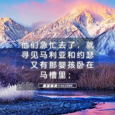 Picture 05 - 路 加 福 音 2:16 CUVS - 他 们 急 忙 去 了 ， 就 寻 见 马 利 - Bible Verse Picture