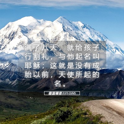 Picture 05 - 路 加 福 音 2:21 CUVS - 满 了 八 天 ， 就 给 孩 子 行 割 礼 - Bible Verse Picture