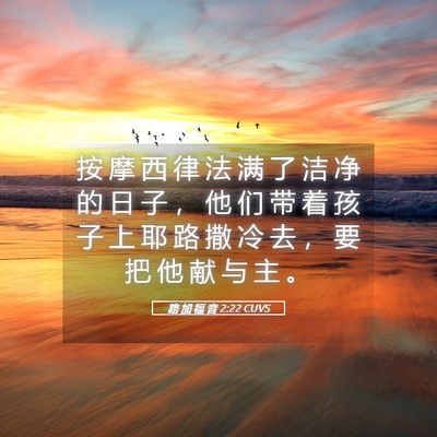 Picture 05 - 路 加 福 音 2:22 CUVS - 按 摩 西 律 法 满 了 洁 净 的 日 子 - Bible Verse Picture