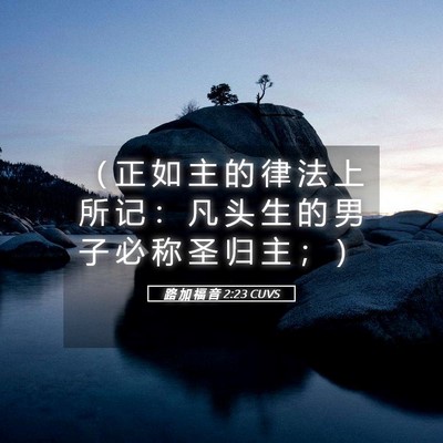 Picture 05 - 路 加 福 音 2:23 CUVS - （ 正 如 主 的 律 法 上 所 记 ： 凡 - Bible Verse Picture