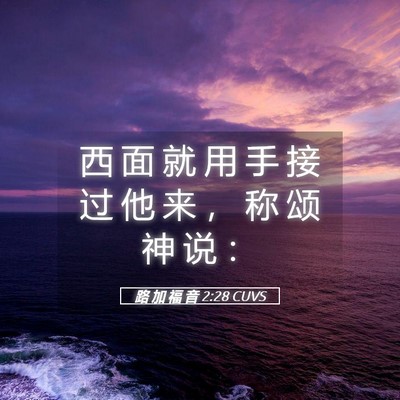 Picture 05 - 路 加 福 音 2:28 CUVS - 西 面 就 用 手 接 过 他 来 ， 称 颂 - Bible Verse Picture