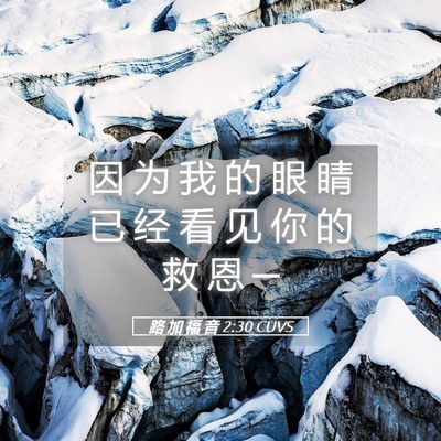 Picture 05 - 路 加 福 音 2:30 CUVS - 因 为 我 的 眼 睛 已 经 看 见 你 的 - Bible Verse Picture