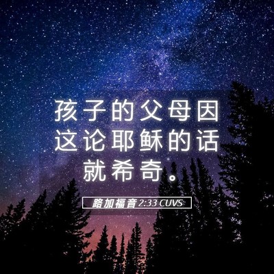 Picture 05 - 路 加 福 音 2:33 CUVS - 孩 子 的 父 母 因 这 论 耶 稣 的 话 - Bible Verse Picture