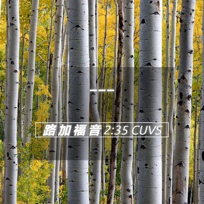 Picture 05 - 路 加 福 音 2:35 CUVS -  - Bible Verse Picture
